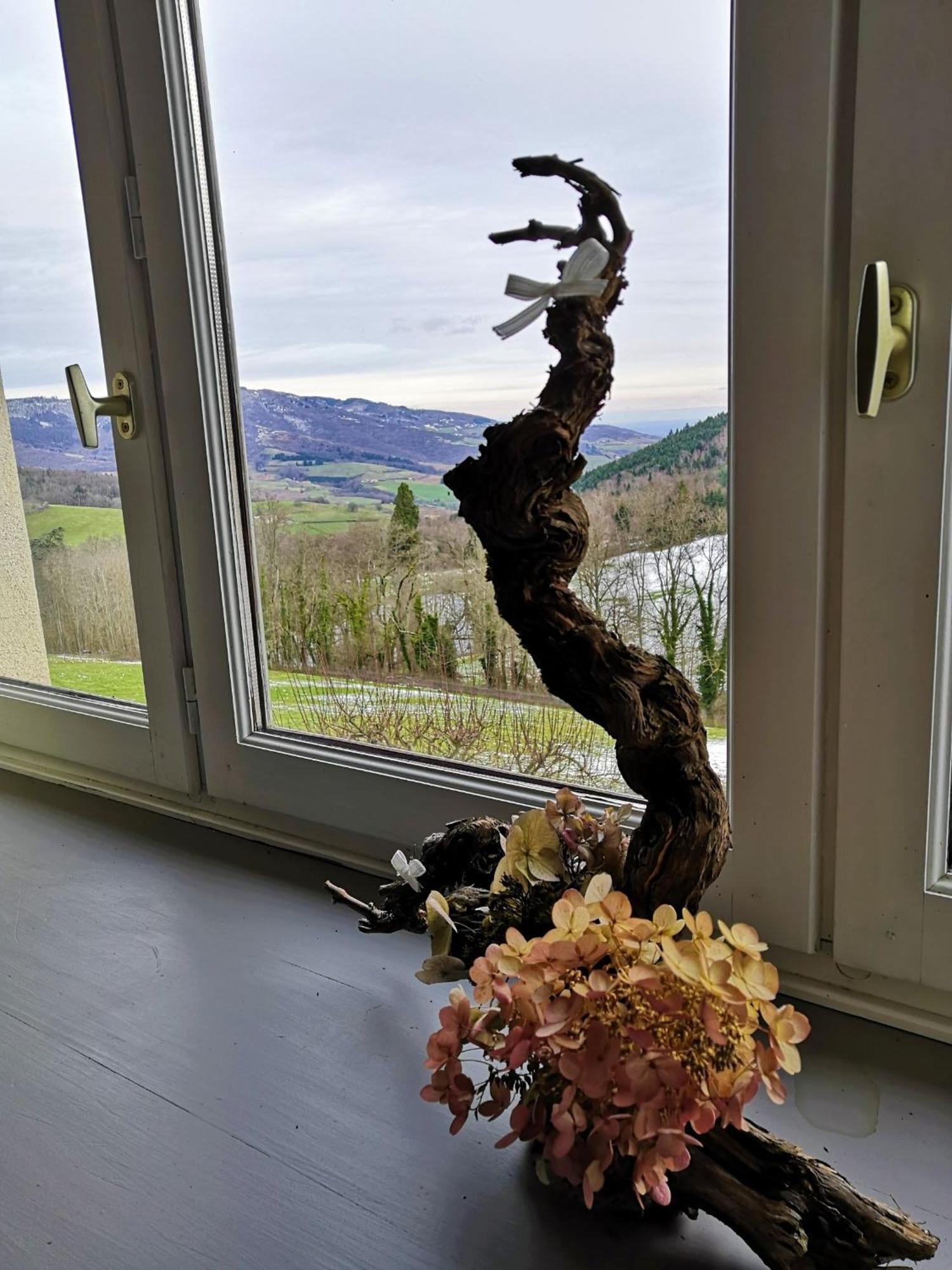 Gite du Hameau D'Amignié Vernay Esterno foto