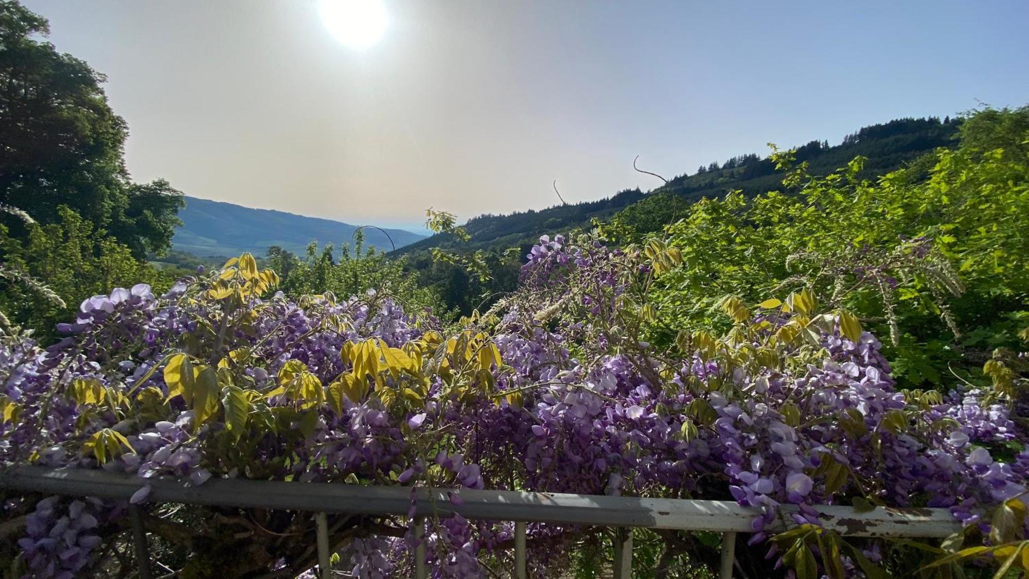 Gite du Hameau D'Amignié Vernay Esterno foto